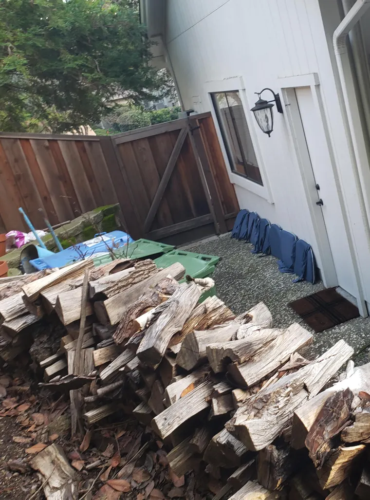 Stacked firewood and dry leaves beside the side wall of a house