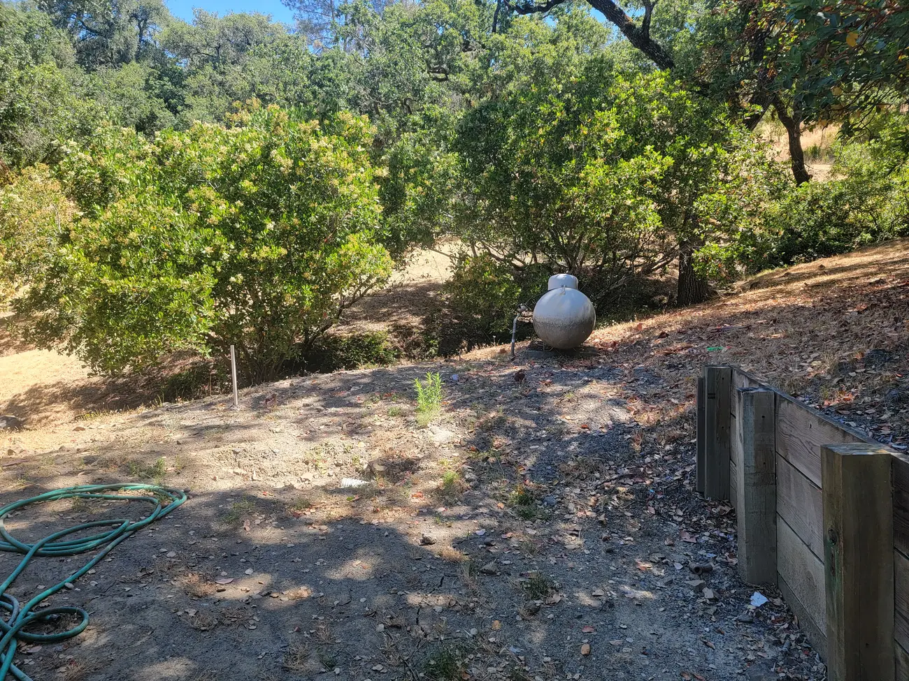 Dry slope with leaf litter, brush and a propane tank behind a home