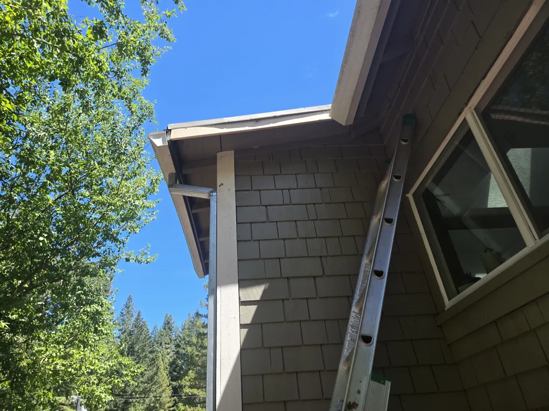 Extension ladder set against the eave of a house
