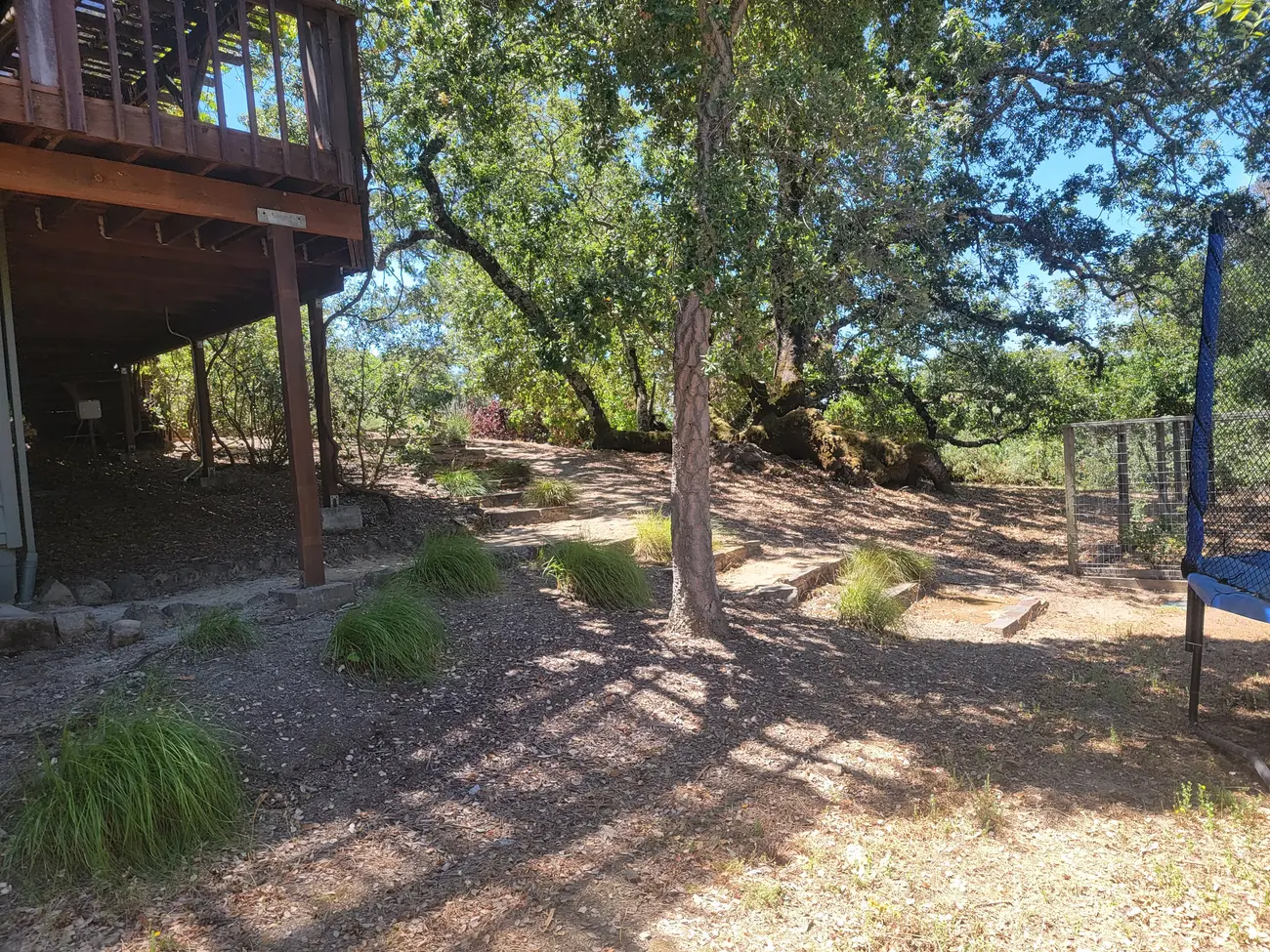 Dry leaves and bark mulch under a raised deck beneath oak trees